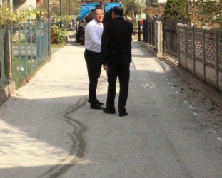 Halimin put 009