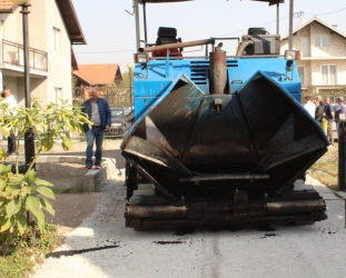 Halimin put 014