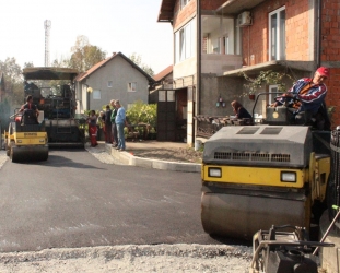 Halimin put 031