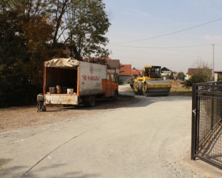 Halimin put 040
