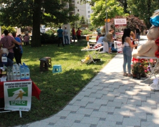 38