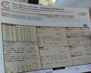 7-540x367